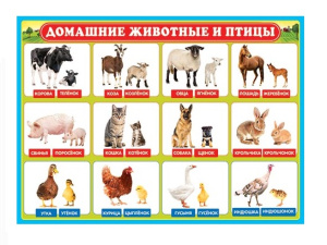 НоменклатураПрисоединенныеФайлы НоменклатураПрисоединенныеФайлы